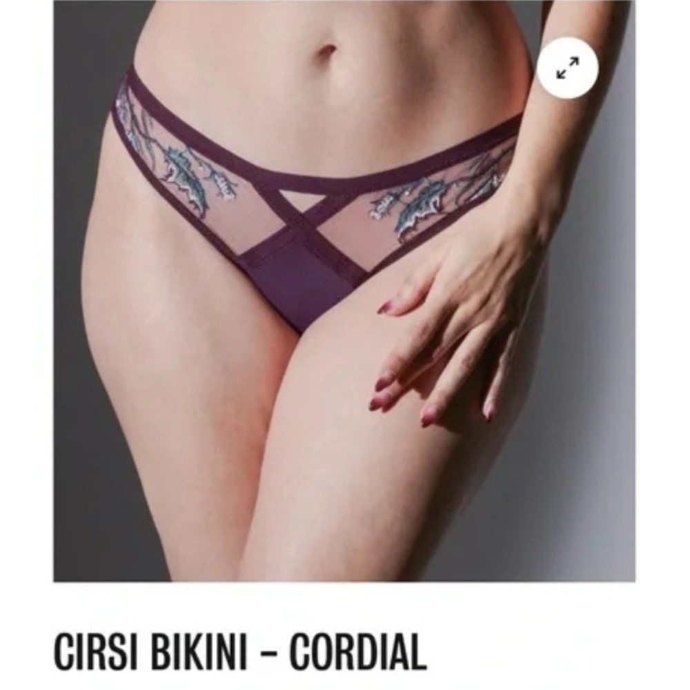 Thistle & Spire Panties Cirsi Bikini Extra Large NWT Cordial Purple Mesh